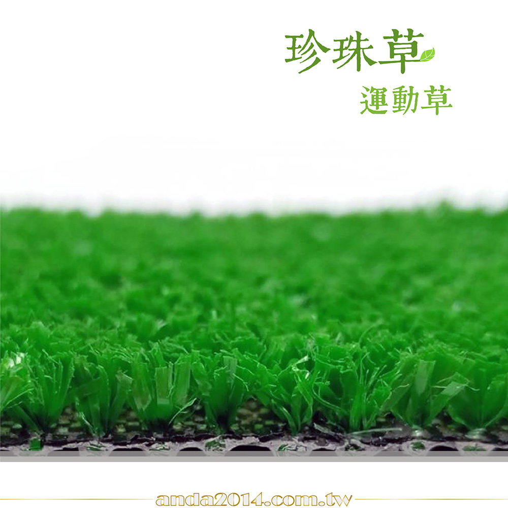 珍珠草,真珠草,防焰,人工草皮,健身房,景觀,綠化