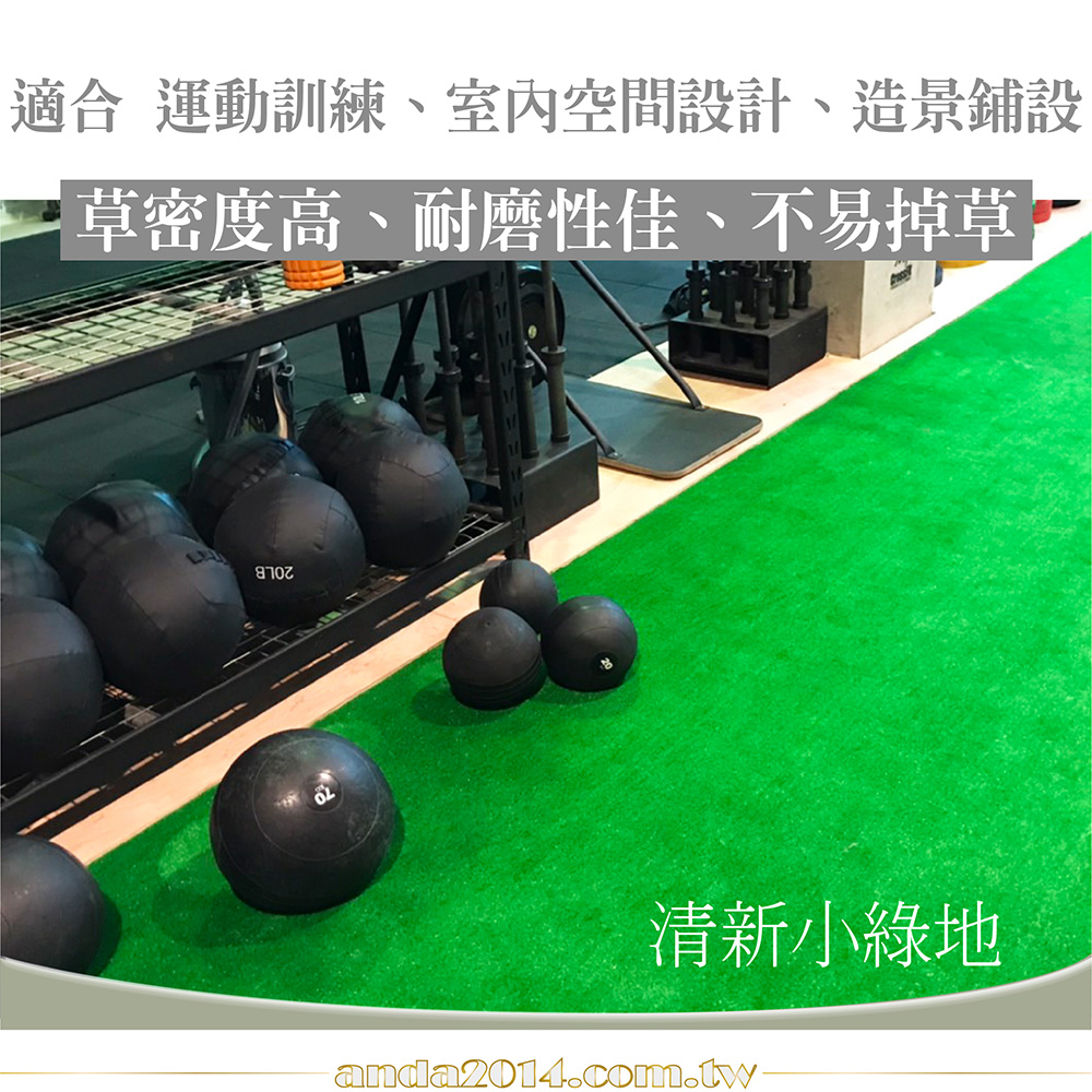 珍珠草,真珠草,防焰,人工草皮,健身房,景觀,綠化