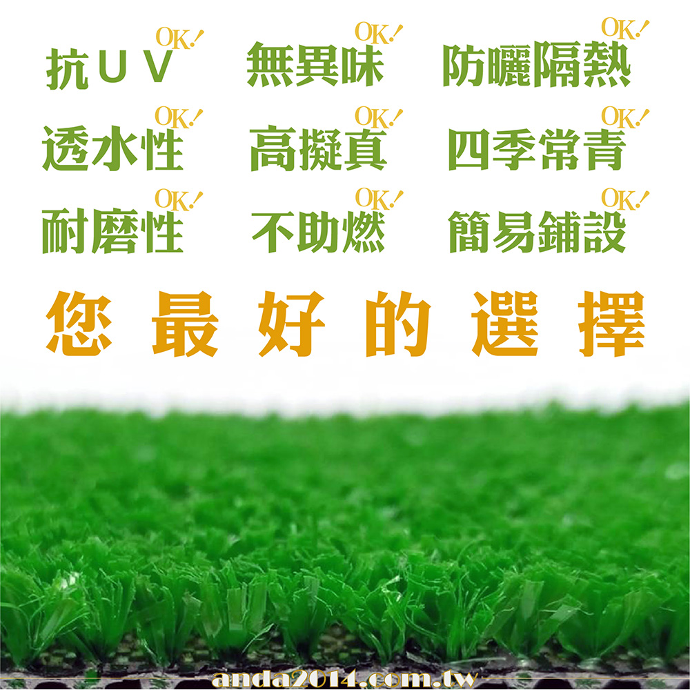 珍珠草,真珠草,防焰,人工草皮,健身房,景觀,綠化