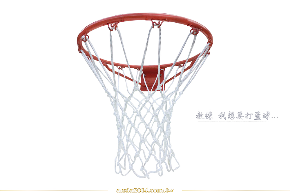 籃網,籃框網,球框網子,編織網,特多龍,台灣製